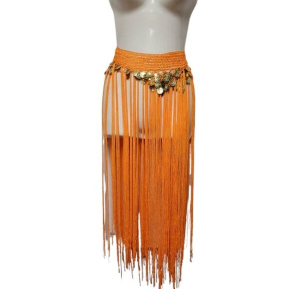 Hip Skirt Belly Dance Tassels Fringe Skirt Bellydance Coins and Fringe Hip Scarf - Picture 14 of 14